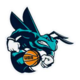 https://img.ahcshfc.com/img/basketball/team/a9d5ba9ae32c07e72069b090647aaf32.png