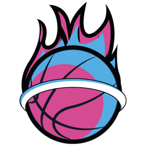 https://img.ahcshfc.com/img/basketball/team/ff7ccef6a6b79c6417ee8367946b0aec.png