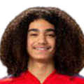 https://img.ahcshfc.com/img/football/player/87359ed9061cfd73513d827263deebcd.png