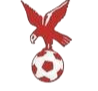 https://img.ahcshfc.com/img/football/team/4802d26df935b78bb2fcdbbff36e8864.png